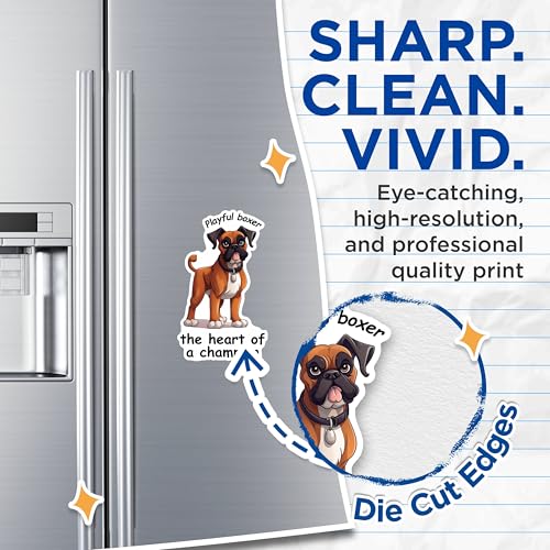 (2 Packs) Playful Boxer Heart of The Champion Magnets - Boxer Dog Breed Magnets - 5 Inches On Longest Side - Premium Magnet - for Fridges, Toolboxes, Cars - Made in USA - MAG2392