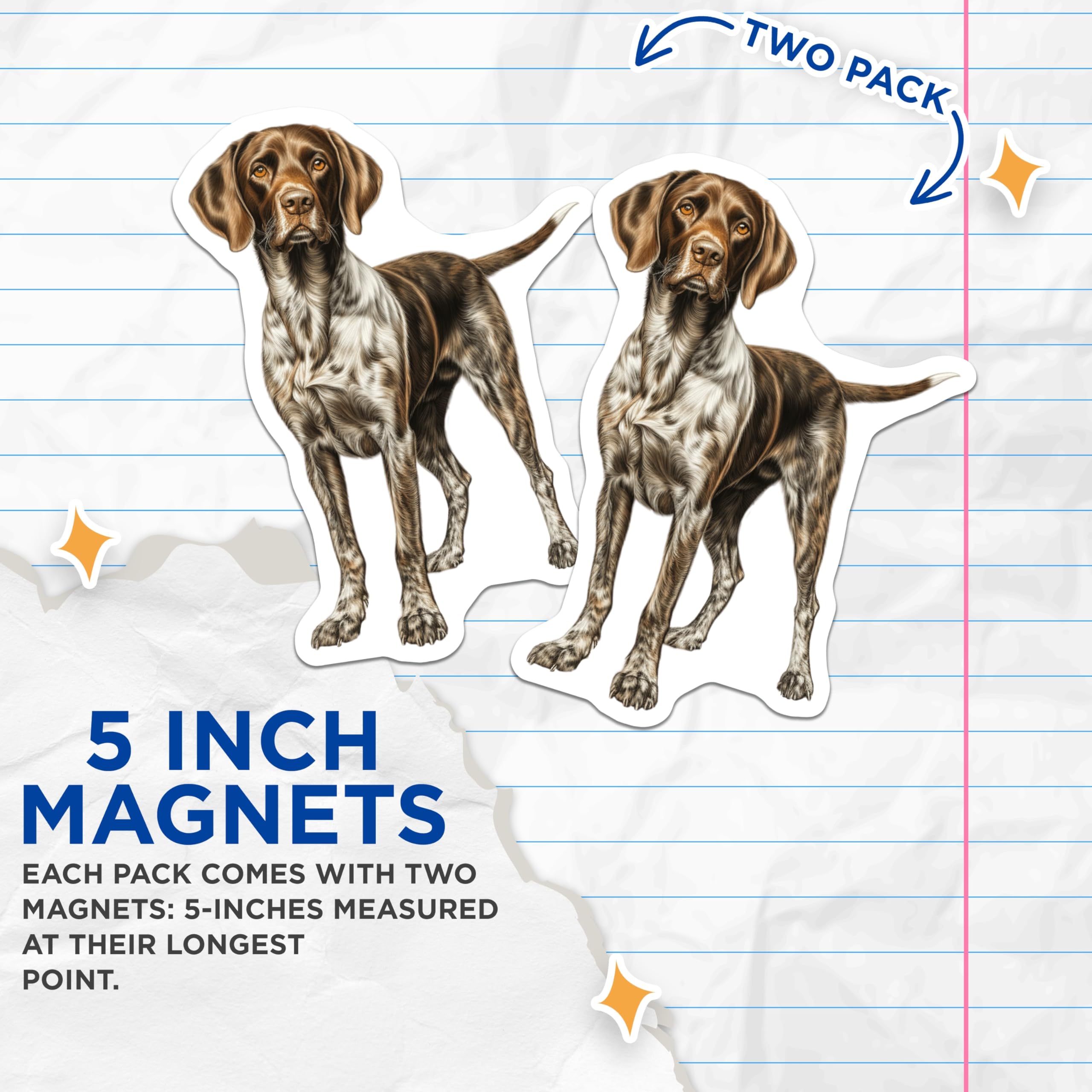(2 Pack) German Shorthaired Pointer Magnets - Hunting Dog Decor - Dog Breed Art for Owners - 5 Inches On Longest Side - Thick Durable Magnet - Made in USA - MAG30064
