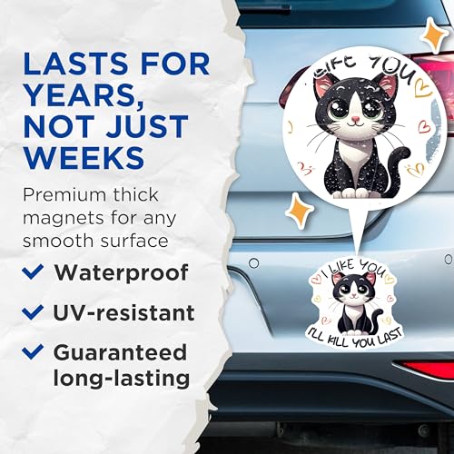 (2 Pack) I Like You I'll Kill You Last Magnets - Funny Cat Quote - Cute Kitty Decor - 5" On Longest Side - for Cars, Fridges, Toolboxes - Made in USA - MAG7352