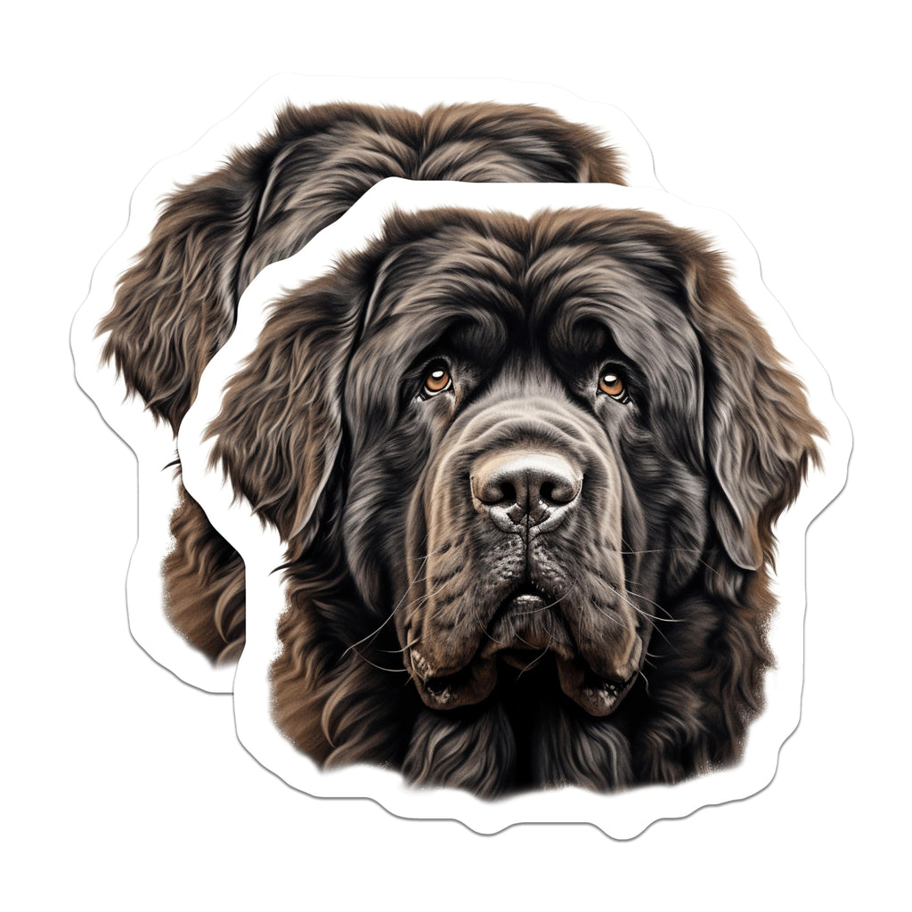 (2 Pack) Newfoundland Dog Magnets - Majestic Canine Pet Art - Gentle Giant Dog Lover Fridge Decor Display - 5 Inches On Longest Side - Thick Durable Magnet - Made in USA - MAG24406