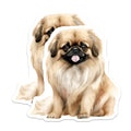 (2 Pack) Pekingese Dog Magnets - Cute Watercolor Pet Art - Fluffy Canine Fridge Decor - Dog Owner Supplies - 5 Inches On Longest Side - Thick Durable Magnet - Made in USA - MAG27723