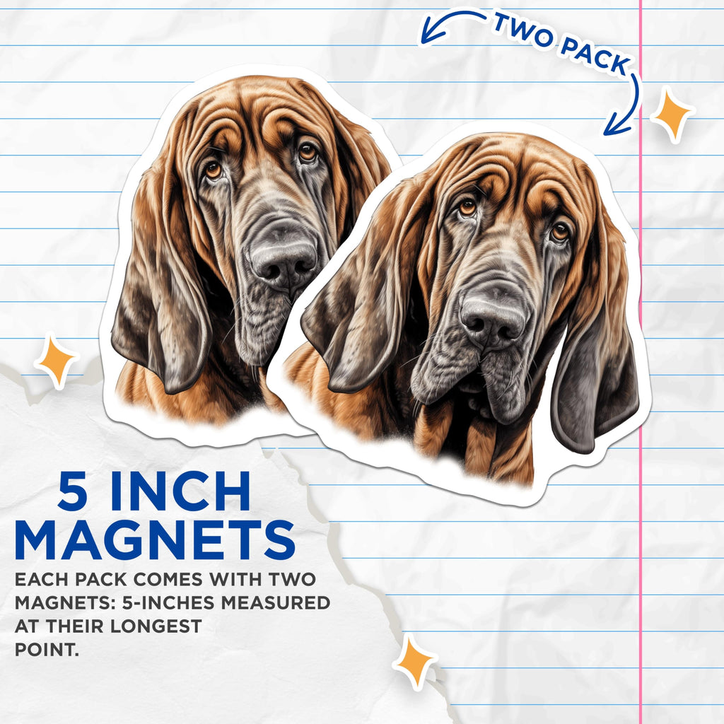 (2 Pack) Bloodhound Dog Magnets - Adorable Hound Dog Art - Wrinkled Face Canine Decor - Pet Lover Refrigerator Display - 5 Inches On Longest Side - Thick Durable Magnet - Made in USA - MAG23731