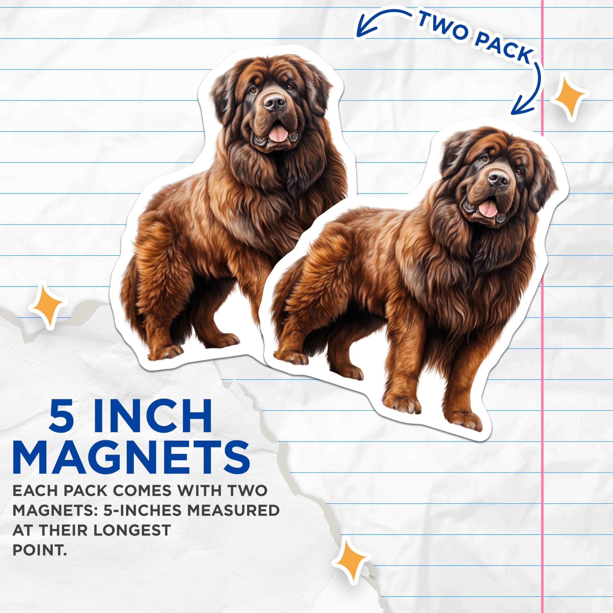 (2 Pack) Newfoundland Dog Magnets - Brown Newfie Lover - Large Breed Pet Owner Decor - 5 Inches On Longest Side - Thick Durable Magnet - Made in USA - MAG25260
