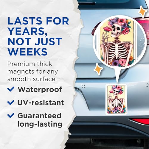 (2 Pack) Skeleton Art Magnet - Unique Decor - Skeleton Decor - 5" On Longest Side - Sticks to Smooth Flat Surfaces - Made in USA - MAG9408
