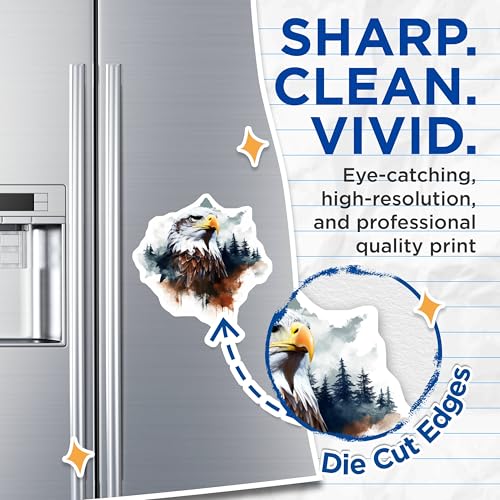 (2 Pack) Eagle Art Magnets - Majestic Bird - Nature Inspired Fridge Magnets - Artistic Wildlife Magnets - 5" On Longest Side - for Cars, Fridges, Toolboxes - Made in USA - MAG3805