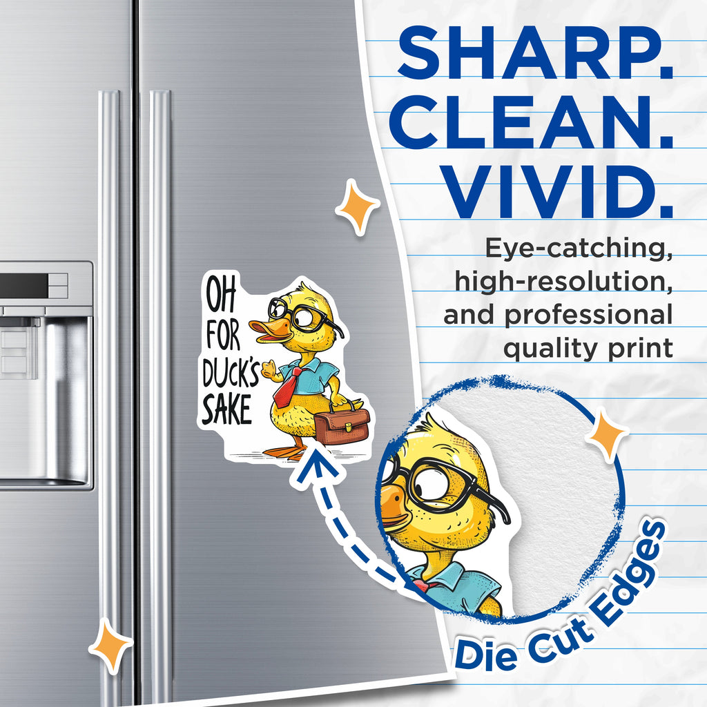(2 Pack) Oh for Duck's Sake Magnets - Funny Office Humor - Sarcastic Coworker Present - Duck Lover Novelty Fridge Decor - 5 Inches On Longest Side - Thick Durable Magnet - Made in USA - MAG38566