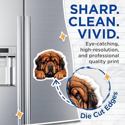 (2 Pack) Animal Lover Decor Magnet - 5" On Longest Side - Sticks to Smooth Flat Surfaces - Made in USA - MAG10325