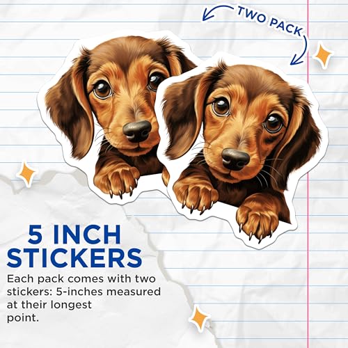 (2 Pack) Cute Dog Stickers - Adorable Pet Decal - Animal Lover Sticker - 5" On Longest Side - Sticks to Smooth Flat Surfaces - Made in USA - BMCS9948