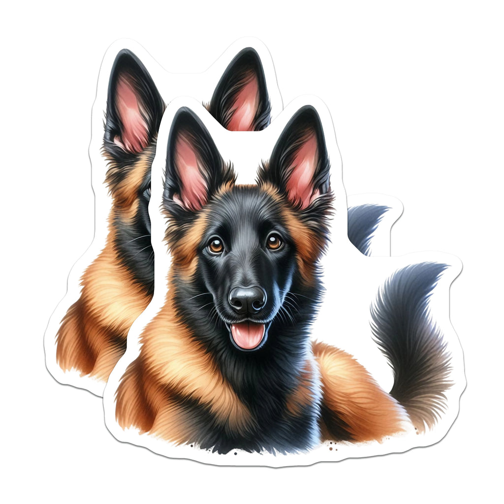 (2 Pack) Belgian Malinois Magnets - Dog Breed Lover Decor - K9 Working Dog Art - 5 Inches On Longest Side - Thick Durable Magnet - Made in USA - MAG37275