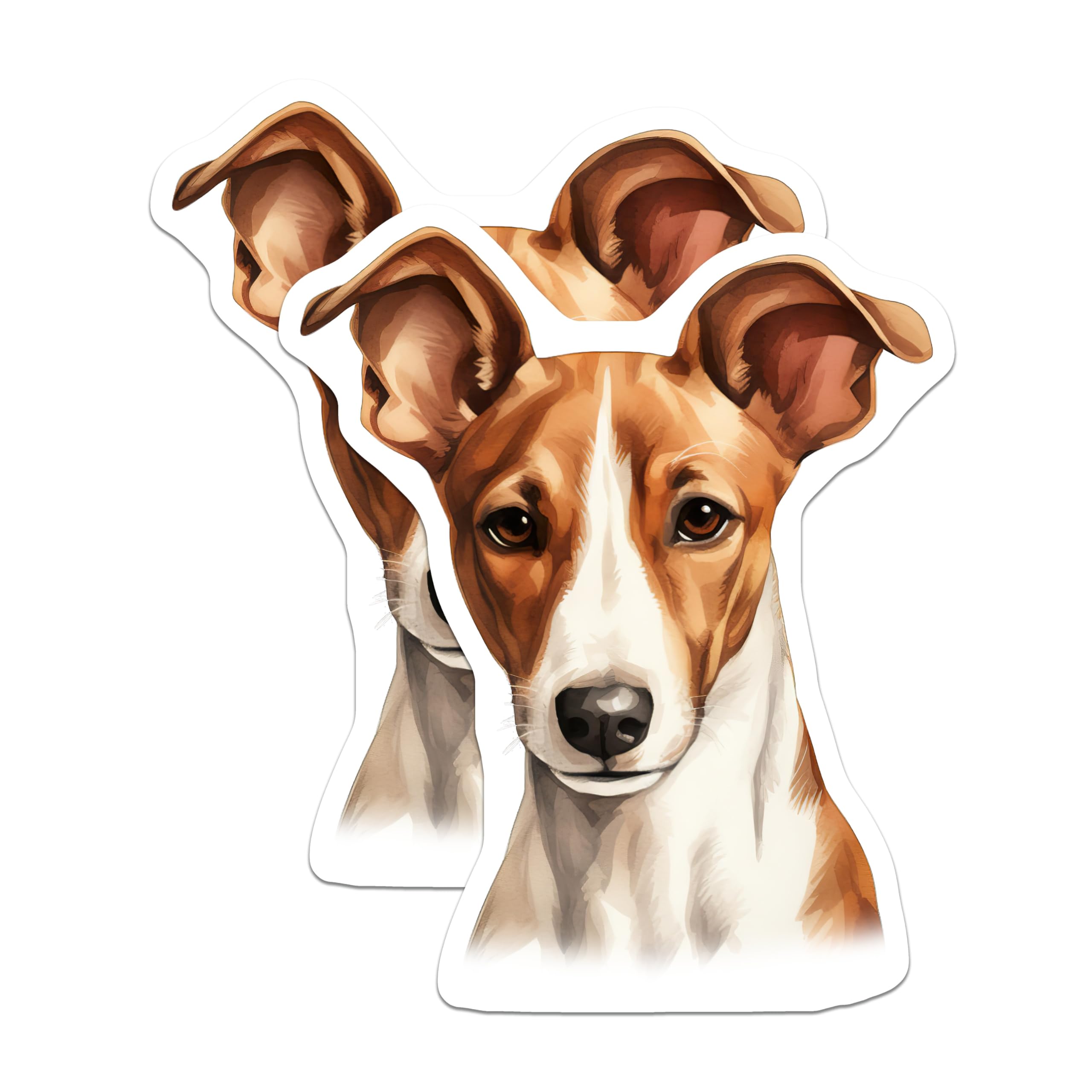 (2 Pack) Jack Russell Terrier Magnets - Dog Art Refrigerator Decor - Pet Lover Kitchen Accessories - 5 Inches On Longest Side - Thick Durable Magnet - Made in USA - MAG23399