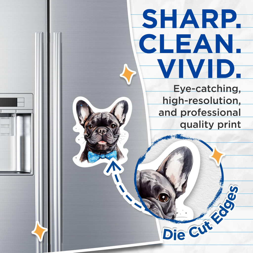 (2 Pack) French Bulldog Magnets - French Bulldog Dog Breed Magnets - Frenchie Breed - 5 Inches On Longest Side - Premium Magnet - for Cars, Refrigerators, Toolboxes - Made in USA - MAG2188