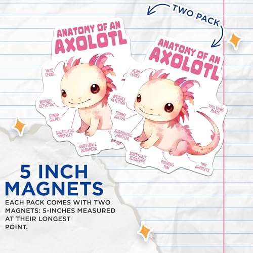 (2 Pack) Anatomy of an Axolotl Magnets - Cute Axolotl Decor - Axolotl Facts - 5" On Longest Side - for Cars, Fridges, Toolboxes - Made in USA - MAG7782