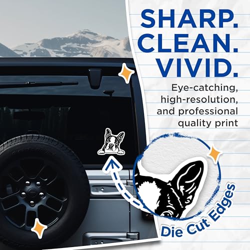 (2 Pack) Curious Dog Stickers - Animal Decal - Pet Lover Stickers - 5" On Longest Side - Sticks to Smooth Flat Surfaces - Made in USA - BMCS4039
