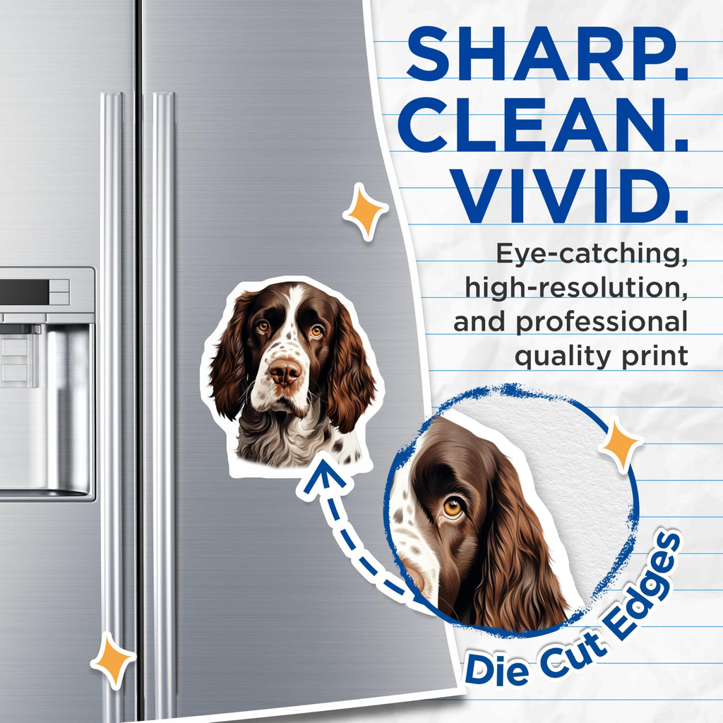 (2 Pack) Springer Spaniel Dog Magnets - Realistic Pet Portrait Art - Dog Owner Home Decor Accent for Refrigerator Locker - 5 Inches On Longest Side - Thick Durable Magnet - Made in USA - MAG26081