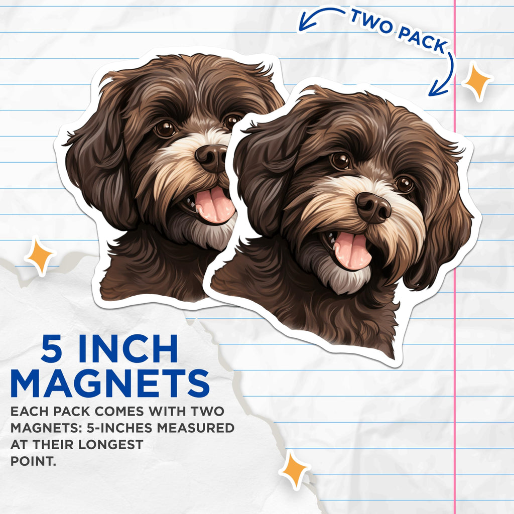 (2 Pack) Fluffy Havanese Dog Magnets - Cute Puppy Pet Owner - Refrigerator Locker Decor - 5 Inches On Longest Side - Thick Durable Magnet - Made in USA - MAG26413