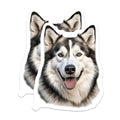 (2 Pack) Siberian Husky Dog Magnets - Alaskan Malamute Decor - Happy Pet Parent Kitchen - 5 Inches On Longest Side - Thick Durable Magnet - Made in USA - MAG28130