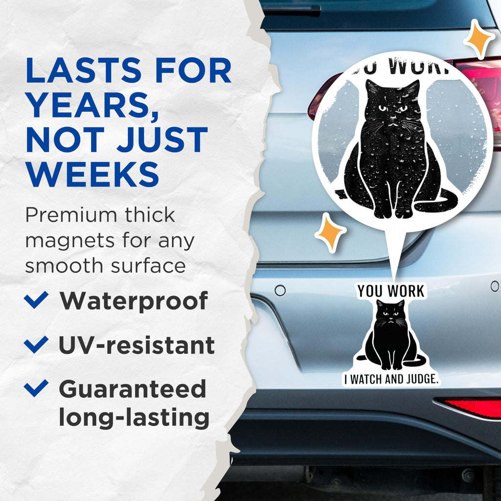 (2 Pack) Cat Magnets - Funny Cat Sayings - Sarcastic Cat Humor - 5" On Longest Side - Premium Magnet - for Cars, Refrigerators, Toolboxes, Lockers - Made in USA - MAG14525
