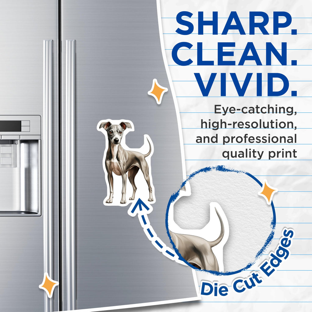 (2 Pack) Italian Greyhound Magnets - Iggy Dog Fridge Decor - Elegant Canine Art - Pet Lover Accessories - 5 Inches On Longest Side - Thick Durable Magnet - Made in USA - MAG27834