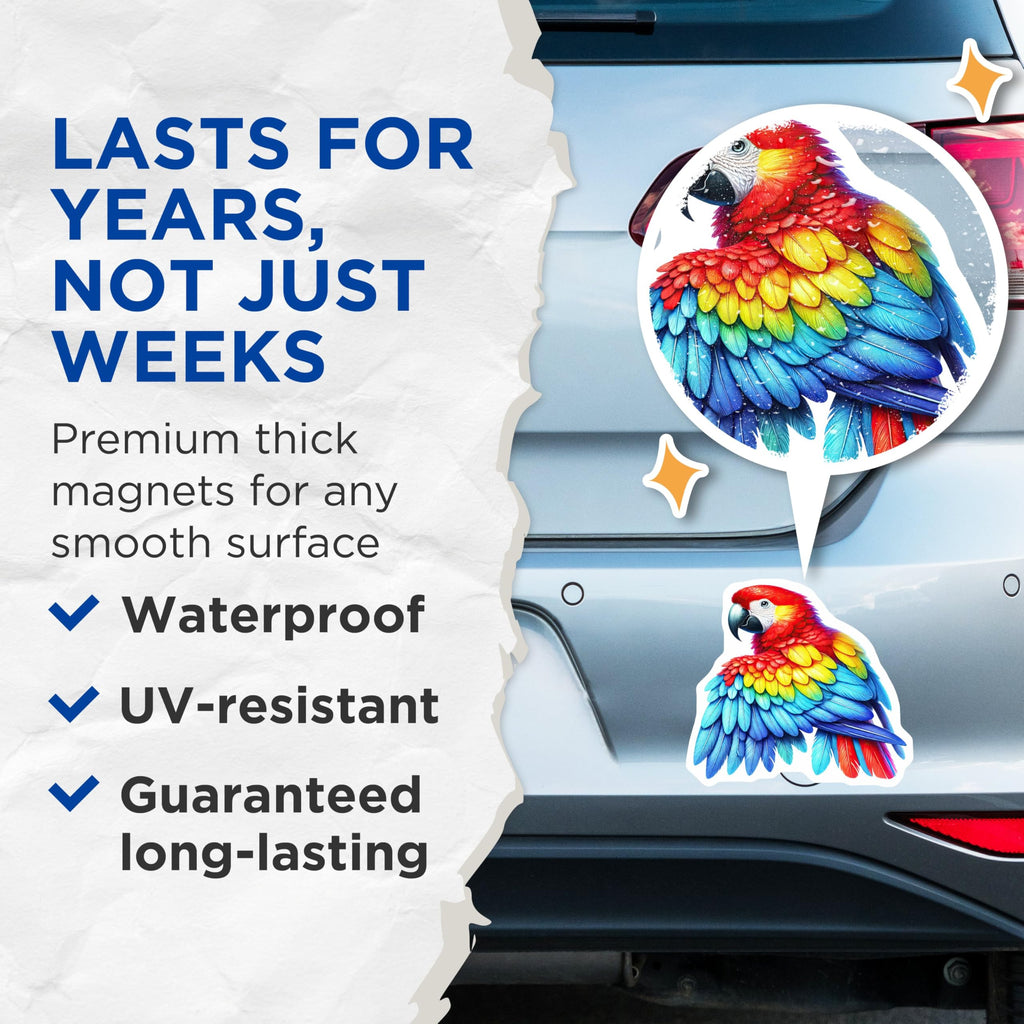 (2 Pack) Parrot Magnets - Colorful Bird Magnets - Tropical Animal Magnet - 5" On Longest Side - for Cars, Fridges, Toolboxes - Made in USA - MAG4522
