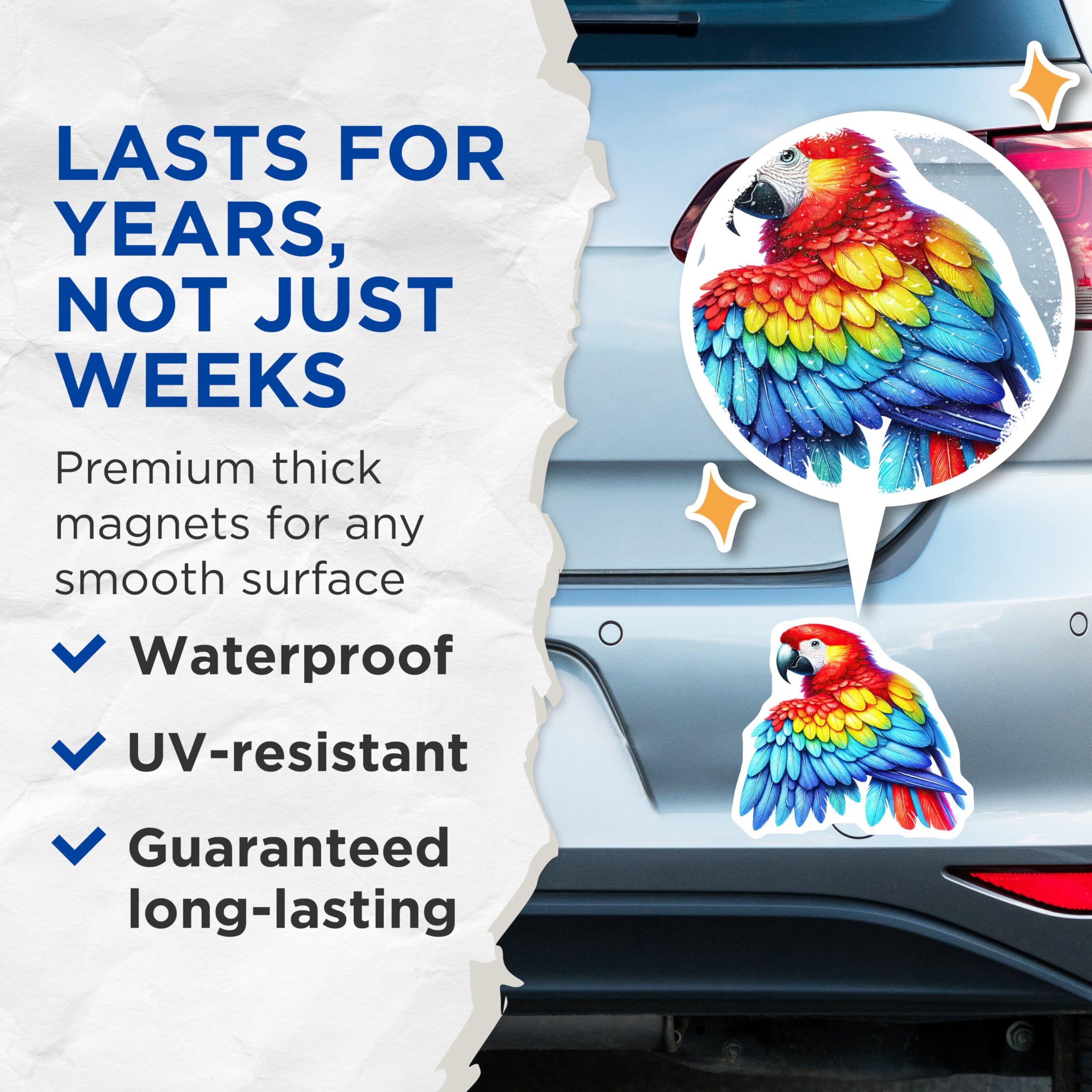 (2 Pack) Parrot Magnets - Colorful Bird Magnets - Tropical Animal Magnet - 5" On Longest Side - for Cars, Fridges, Toolboxes - Made in USA - MAG4522