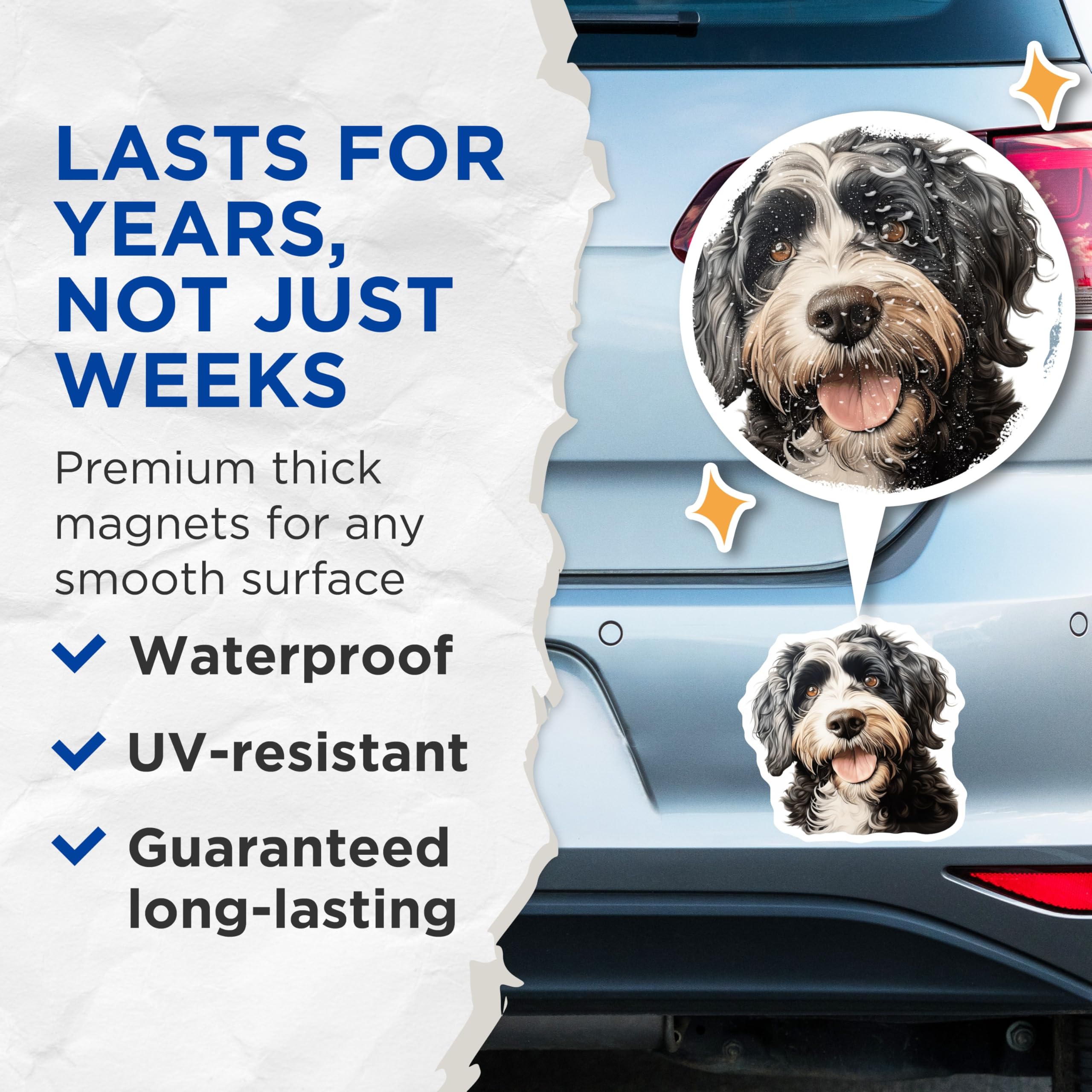 (2 Pack) Bernedoodle Dog Magnets - Happy Doodle Pet Lover - Fridge Locker Decor - 5 Inches On Longest Side - Thick Durable Magnet - Made in USA - MAG30147