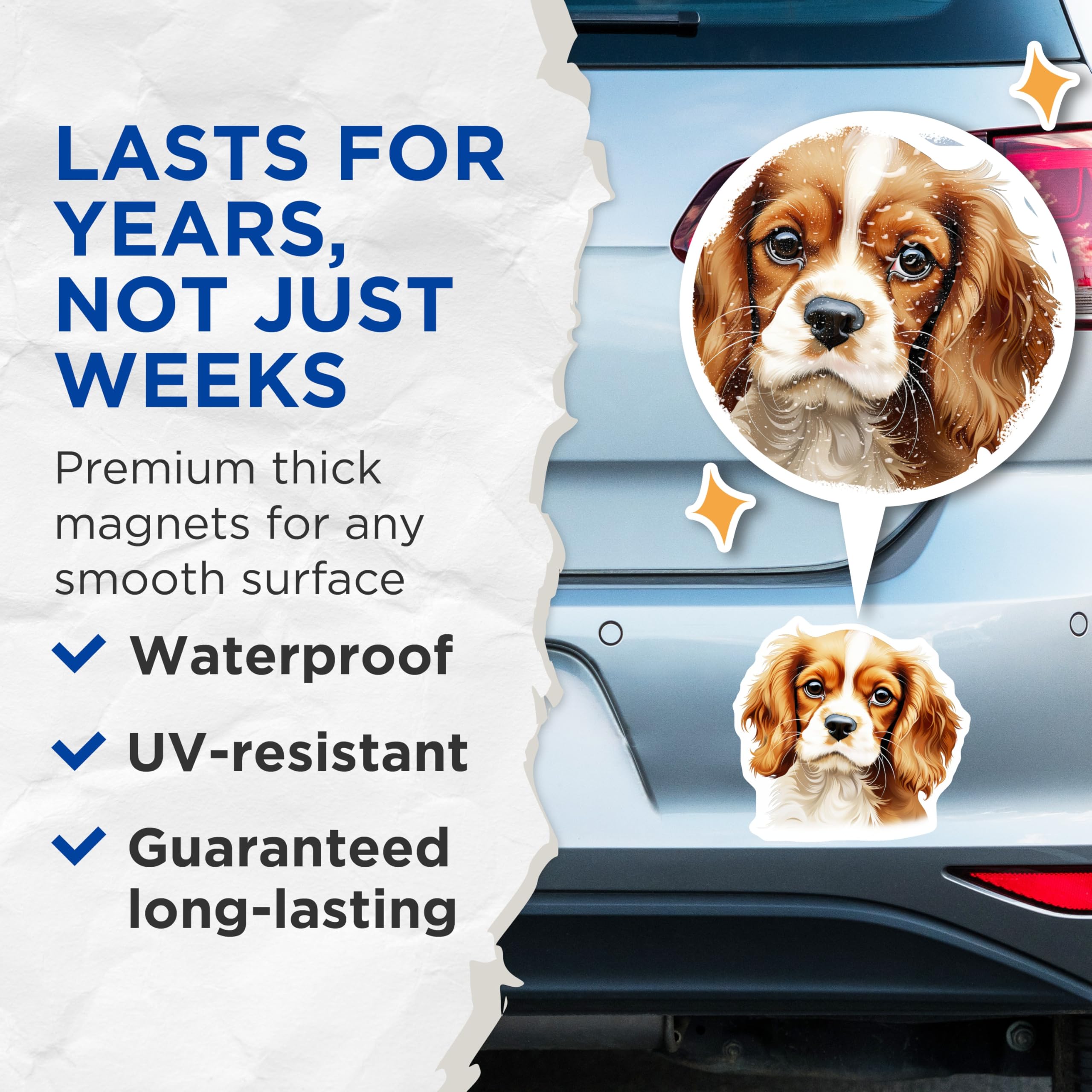 (2 Pack) Cavalier King Charles Spaniel Magnets - Cavalier Puppy Lover - Dog Mom Refrigerator Decor - 5 Inches On Longest Side - Thick Durable Magnet - Made in USA - MAG25496