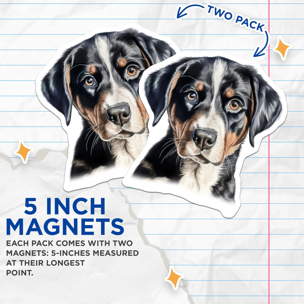 (2 Pack) Swiss Mountain Dog Magnets - Adorable Puppy Dog Decals - Tri Color Canine Art - Pet Lover Refrigerator Auto Display - 5 Inches On Longest Side - Thick Durable Magnet - Made in USA - MAG24553