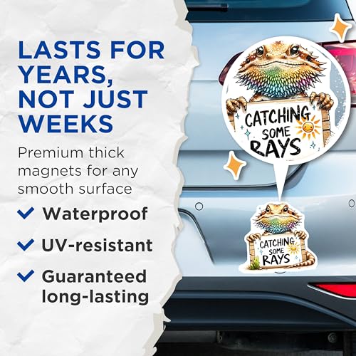(2 Pack) Catching Some Rays Magnets - Bearded Dragon Art - Fun Reptile - Colorful Animal Magnets - 5" On Longest Side - for Cars, Fridges, Toolboxes - Made in USA - MAG3732