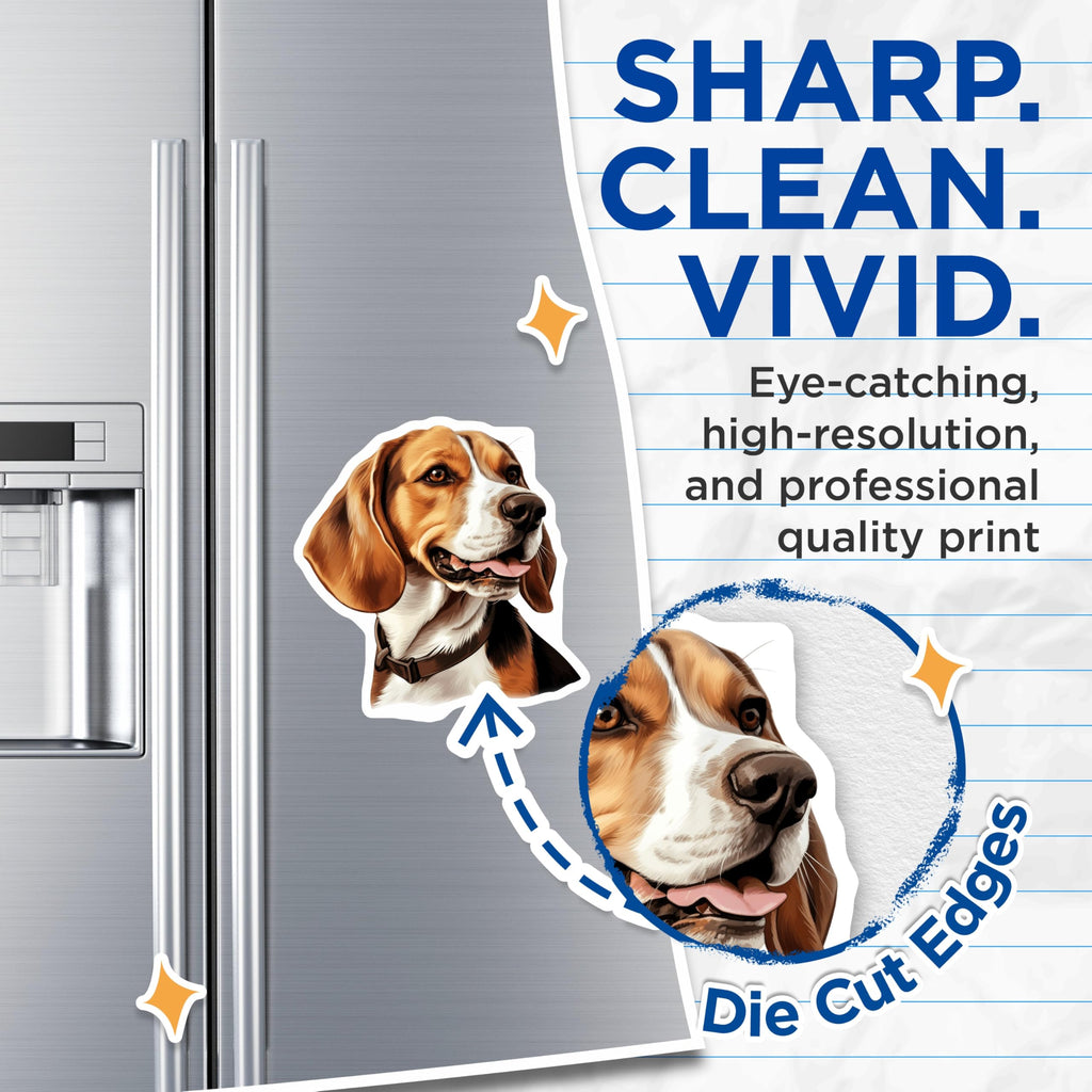 (2 Pack) Beagle Dog Illustration Magnets - Pet Lover Home Decor - Dog Owner Kitchen Refrigerator Art - 5 Inches On Longest Side - Thick Durable Magnet - Made in USA - MAG29754