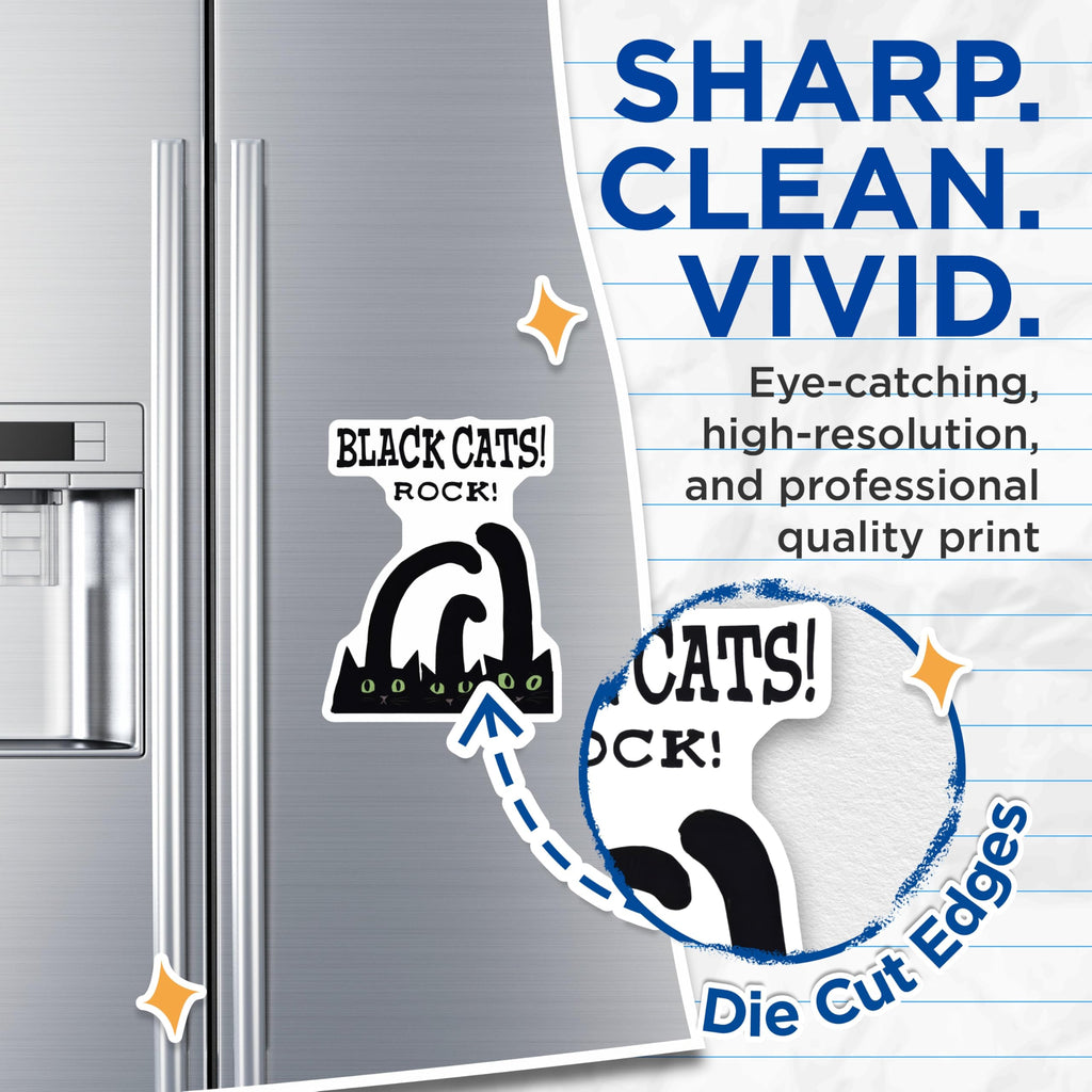 (2 Pack) Black Cats Magnets - Funny Cat Lover Refrigerator Magnet - Kitchen Decor - 5" On Longest Side - Premium Magnet - for Cars, Refrigerators, Toolboxes, Lockers - Made in USA - MAG15707