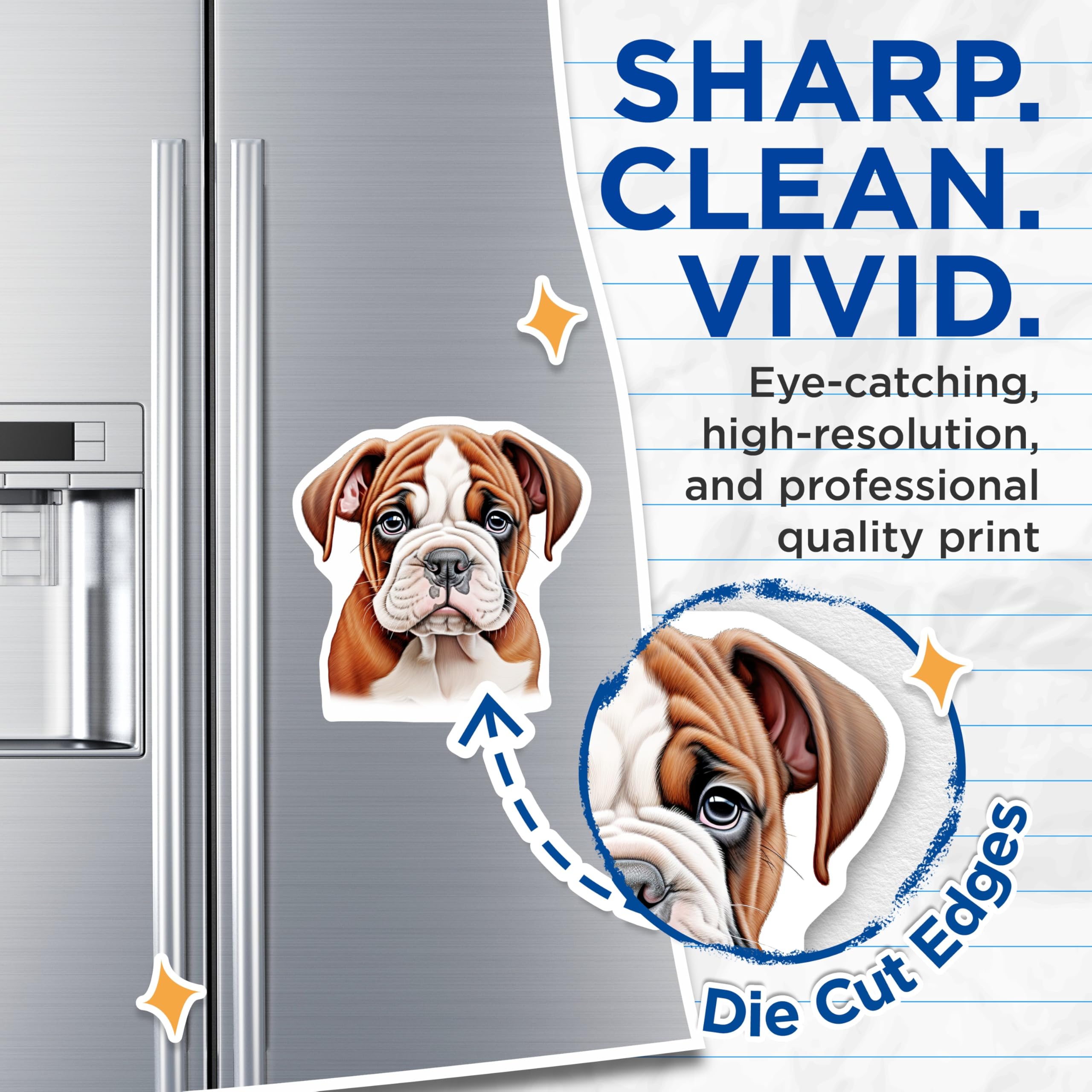 (2 Pack) Cute Bulldog Puppy Magnets - Dog Lover Pet Parent Gift - Refrigerator Locker Decor for Bulldog Owners - 5 Inches On Longest Side - Thick Durable Magnet - Made in USA - MAG29440