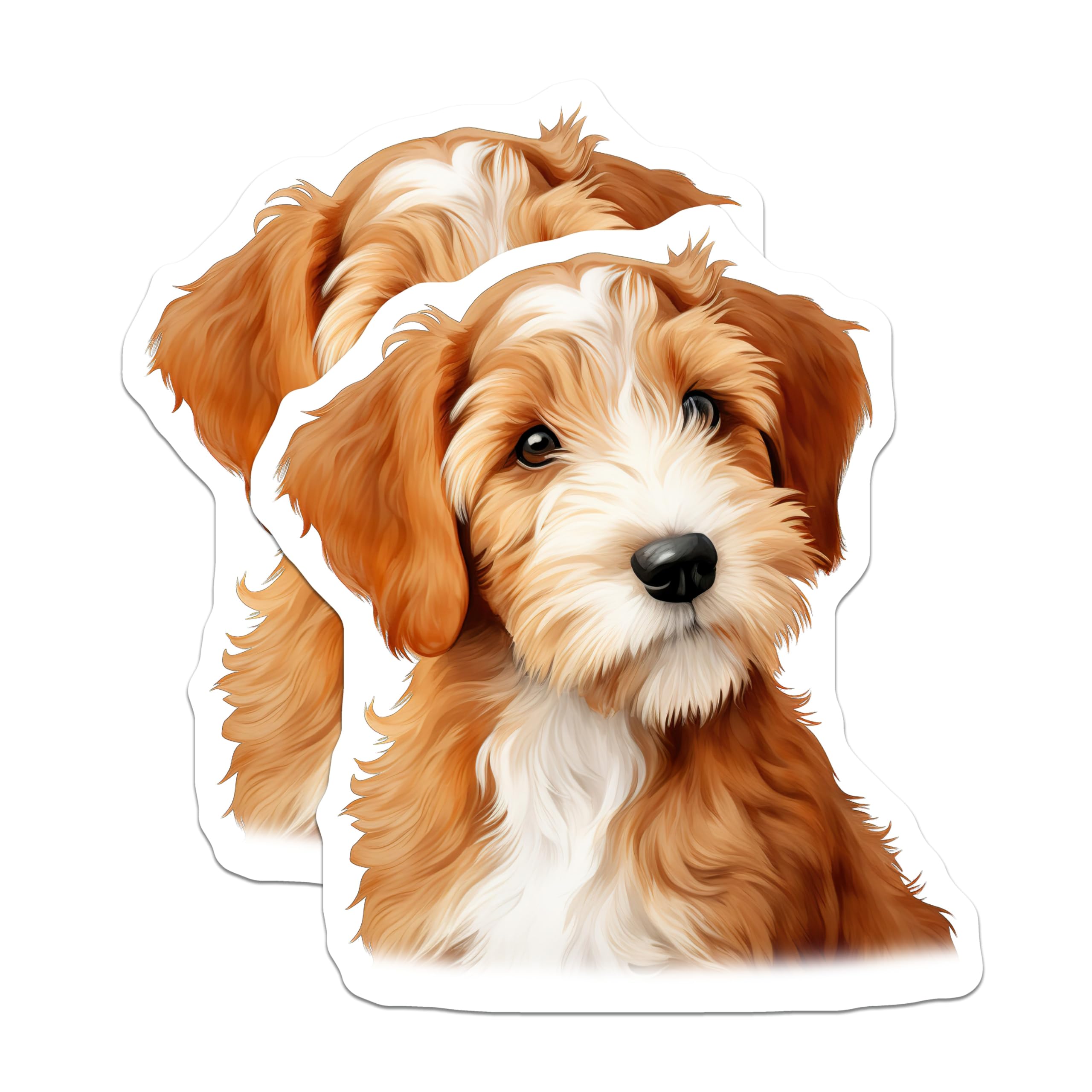 (2 Pack) Goldendoodle Puppy Magnets - Adorable Dog Art Decor - Pet Lover Refrigerator Display - 5 Inches On Longest Side - Thick Durable Magnet - Made in USA - MAG23246