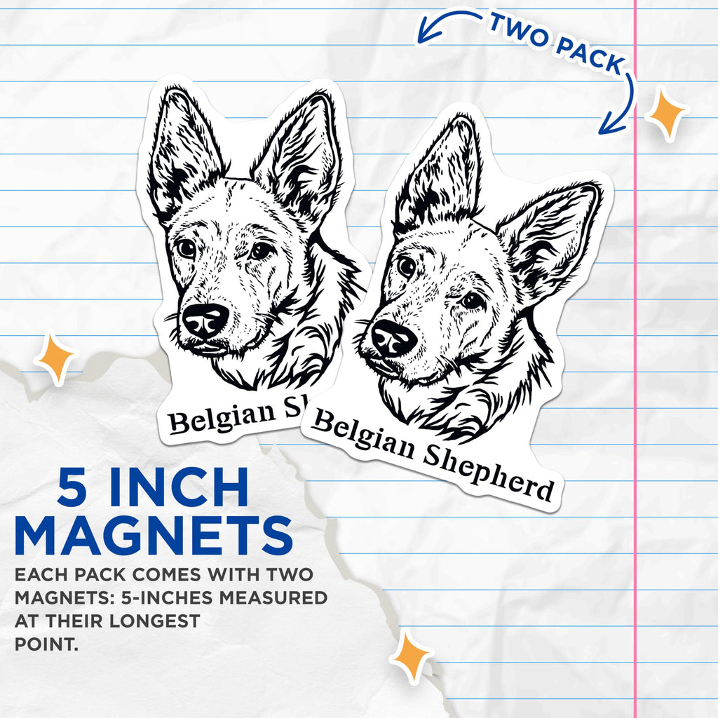 (2 Pack) Belgian Shepherd Dog Magnets - High Detail Canine Art - Ative Animal Magnets for Fridge - Dog Lover Home - 5" On Longest Side - for Cars, Fridges, Toolboxes - Made in USA - MAG4018