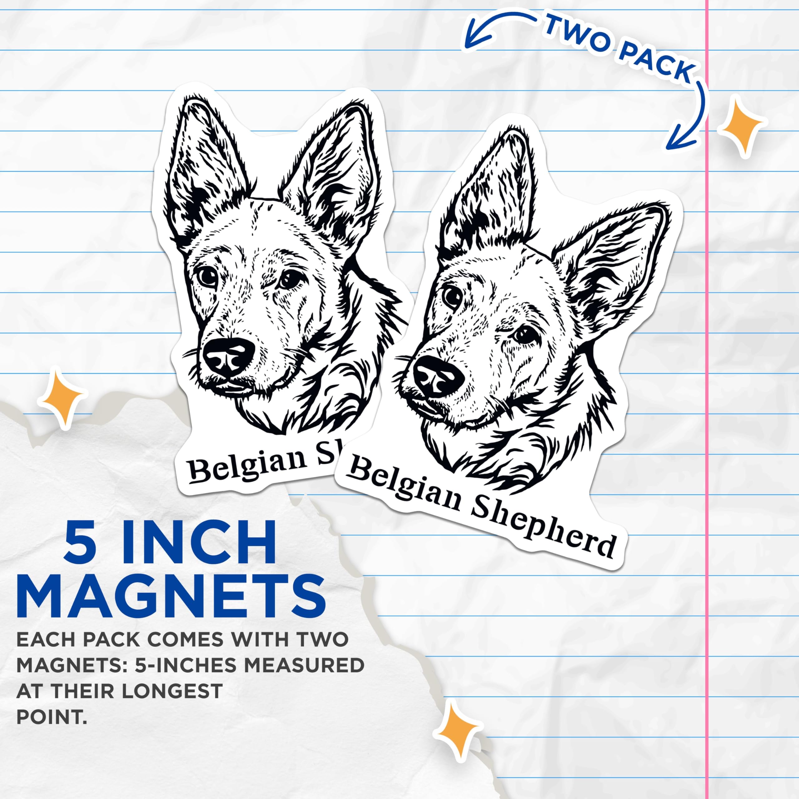(2 Pack) Belgian Shepherd Dog Magnets - High Detail Canine Art - Ative Animal Magnets for Fridge - Dog Lover Home - 5" On Longest Side - for Cars, Fridges, Toolboxes - Made in USA - MAG4018