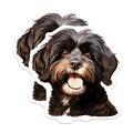 (2 Pack) Happy Doodle Dog Magnets - Fluffy Dog Face Art - Pet Lover Refrigerator Decor - 5 Inches On Longest Side - Thick Durable Magnet - Made in USA - MAG29063
