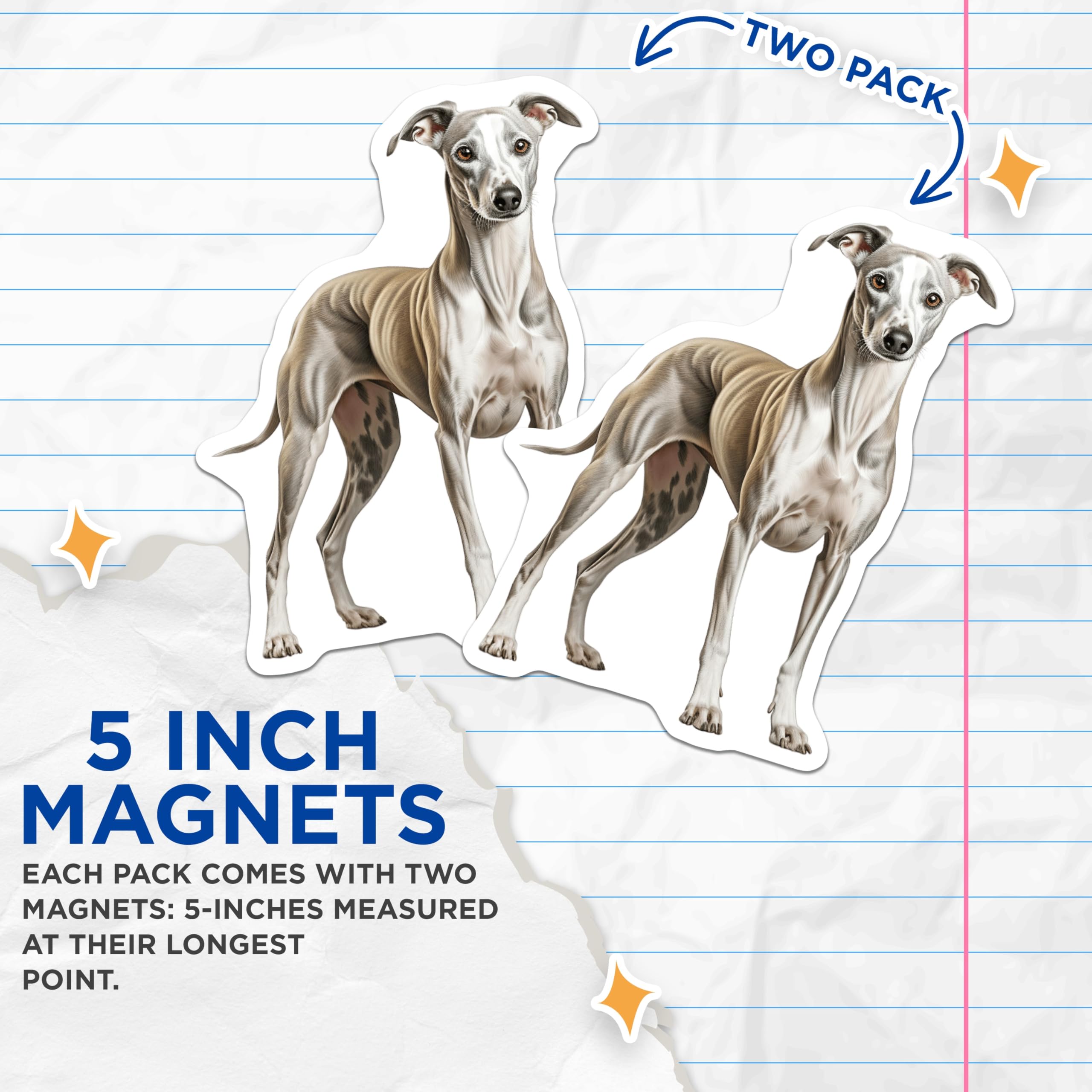 (2 Pack) Italian Greyhound Magnets - Graceful Whippet Dog Art - Sighthound Pet Lover Kennel Decor - Refrigerator Magnets - 5 Inches On Longest Side - Thick Durable Magnet - Made in USA - MAG24998