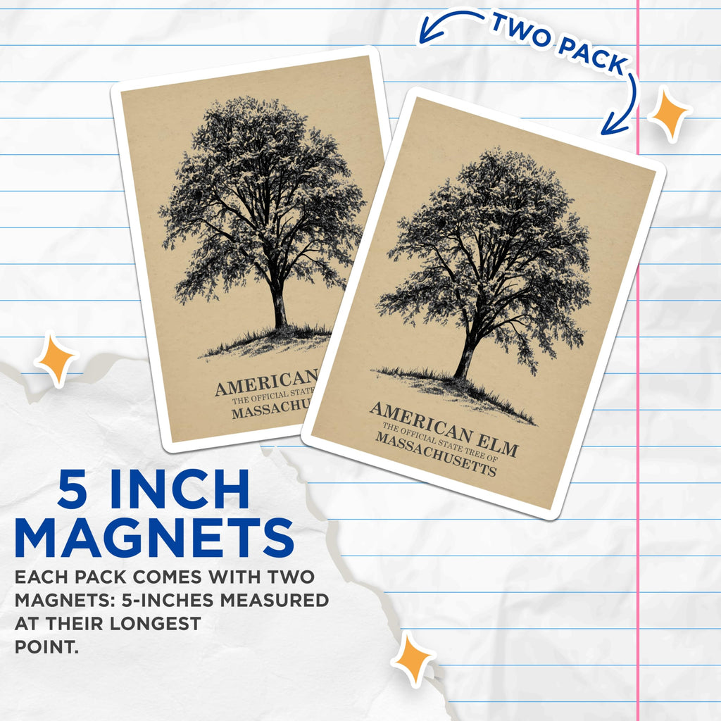 (2 Pack) American Elm Magnets - Massachusetts State Tree - Tree Decor Magnet - 5" On Longest Side - Premium Magnet - for Cars, Refrigerators, Toolboxes, Lockers - Made in USA - MAG17454