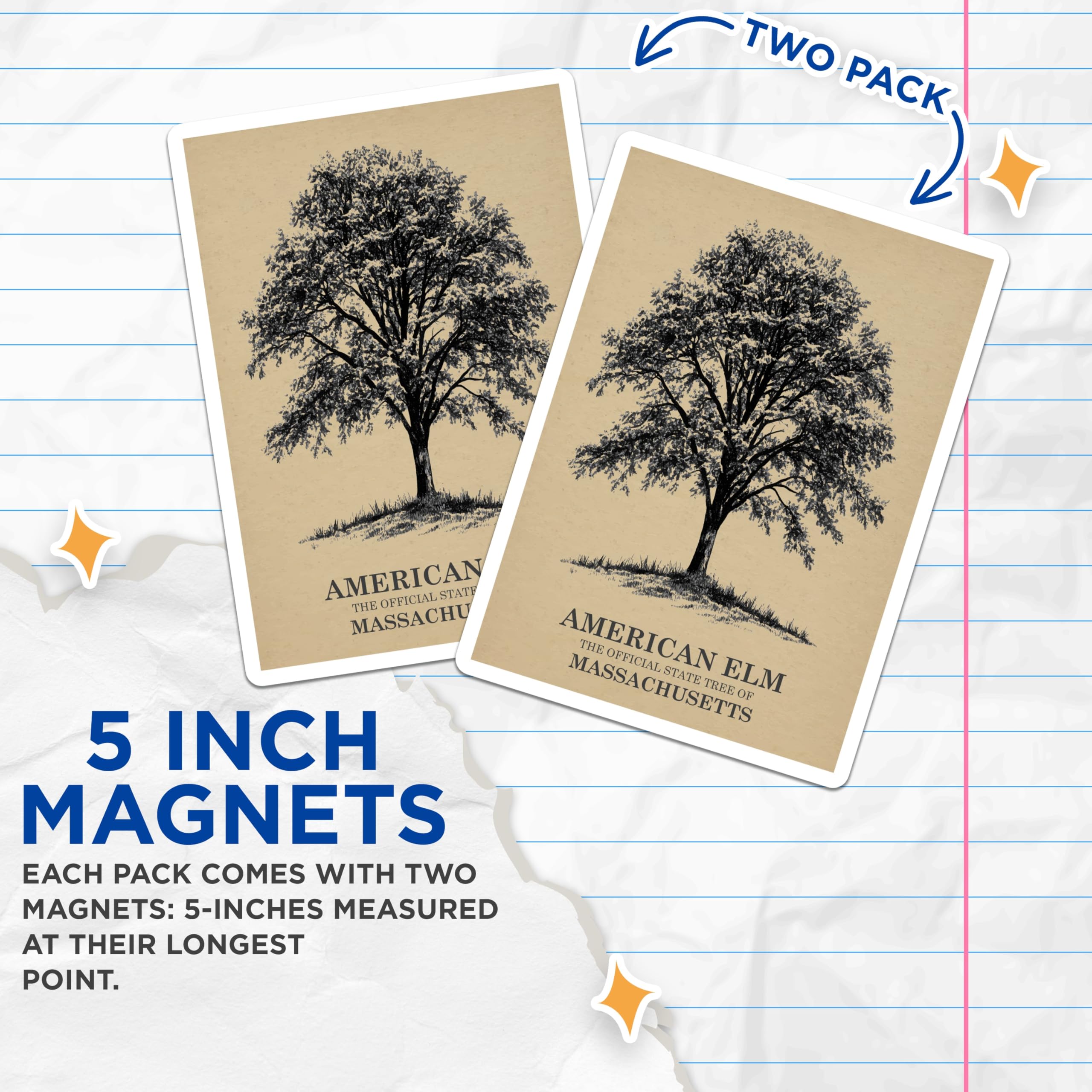 (2 Pack) American Elm Magnets - Massachusetts State Tree - Tree Decor Magnet - 5" On Longest Side - Premium Magnet - for Cars, Refrigerators, Toolboxes, Lockers - Made in USA - MAG17454