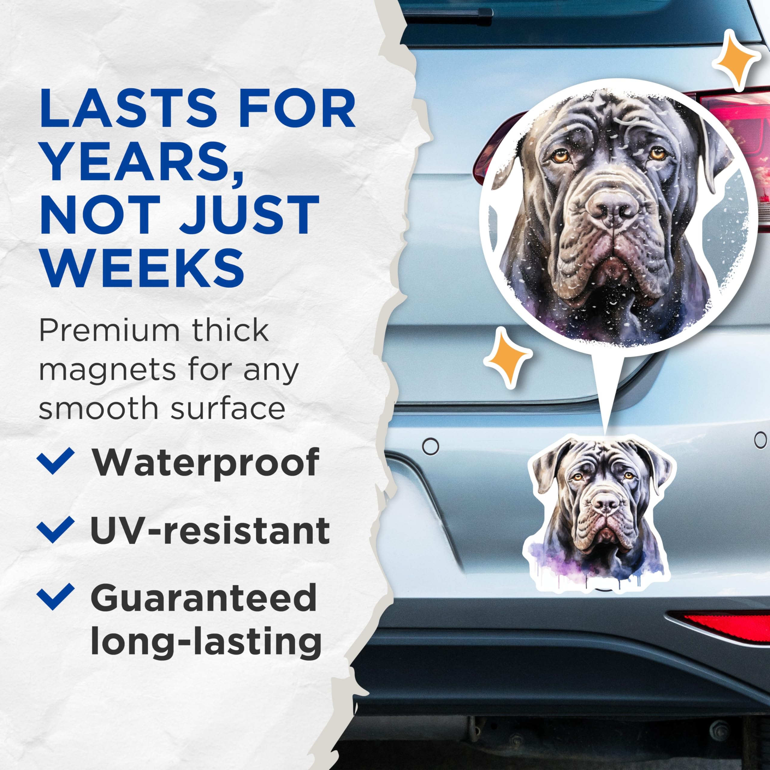 (2 Pack) Neo Mastiff Magnets - Watercolor Dog Art - Majestic Large Breed Pet Lover - Dog Parent Home Decor - 5 Inches On Longest Side - Thick Durable Magnet - Made in USA - MAG29742