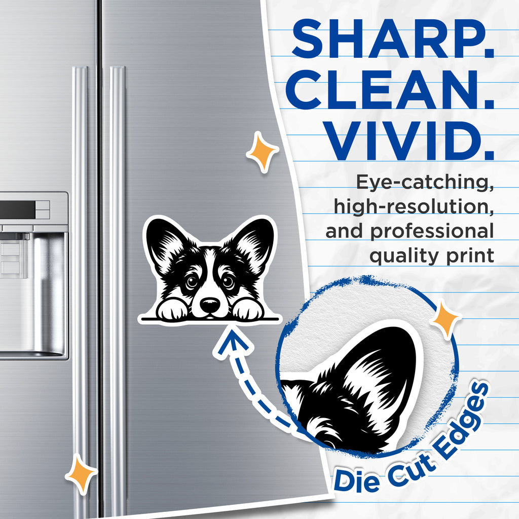 (2 Pack) Corgi Peeker Magnets - Cute Dog Lover Home Decor - Refrigerator Locker Accent - 5 Inches On Longest Side - Thick Durable Magnet - Made in USA - MAG39654
