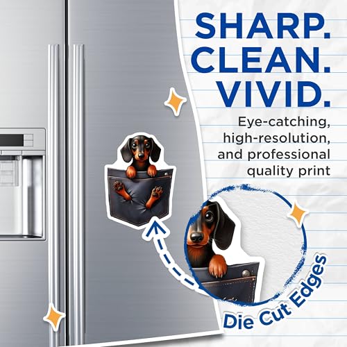(2 Pack) Dog Magnets - Cute Dachshund in Pocket Magnet - Fun Refrigerator Magnet for Dog Lovers - 5" On Longest Side - for Cars, Fridges, Toolboxes - Made in USA - MAG3971