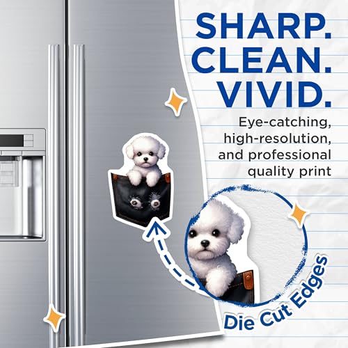(2 Pack) Cute Puppy Magnets - Fun Animal Magnets - Adorable Dog Magnets for Fridge Locker Whiteboard - 5" On Longest Side - for Cars, Fridges, Toolboxes - Made in USA - MAG3877