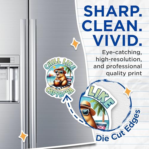 (2 Pack) Chill Like Capybara Magnets - Beach Summer Vibes - Cool Animal Refrigerator Magnets - 5" On Longest Side - for Cars, Fridges, Toolboxes - Made in USA - MAG3751