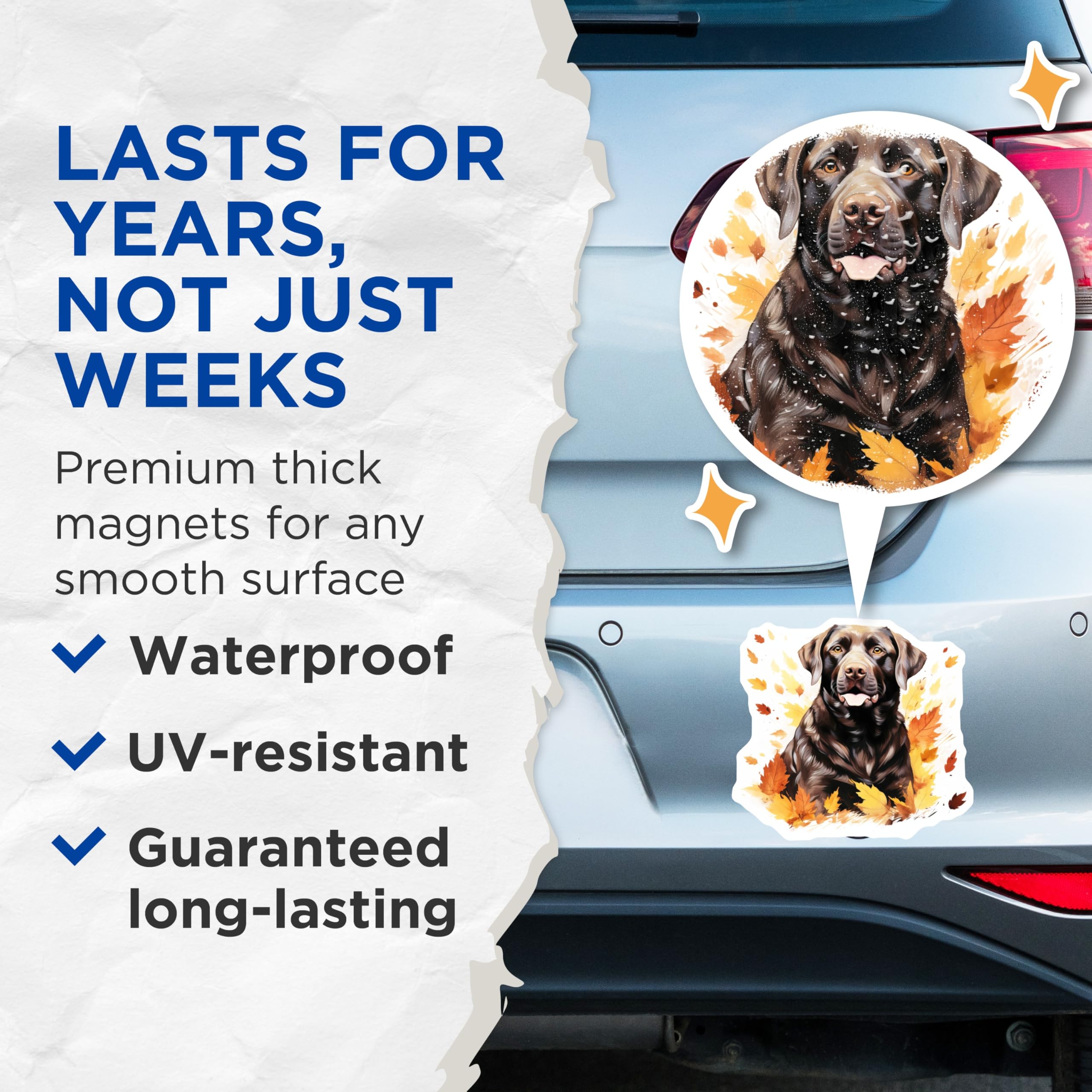 (2 Pack) Chocolate Labrador Magnets - Fall Leaves Dog Art - Pet Lover Fridge Decor Animal Theme - 5 Inches On Longest Side - Thick Durable Magnet - Made in USA - MAG26431