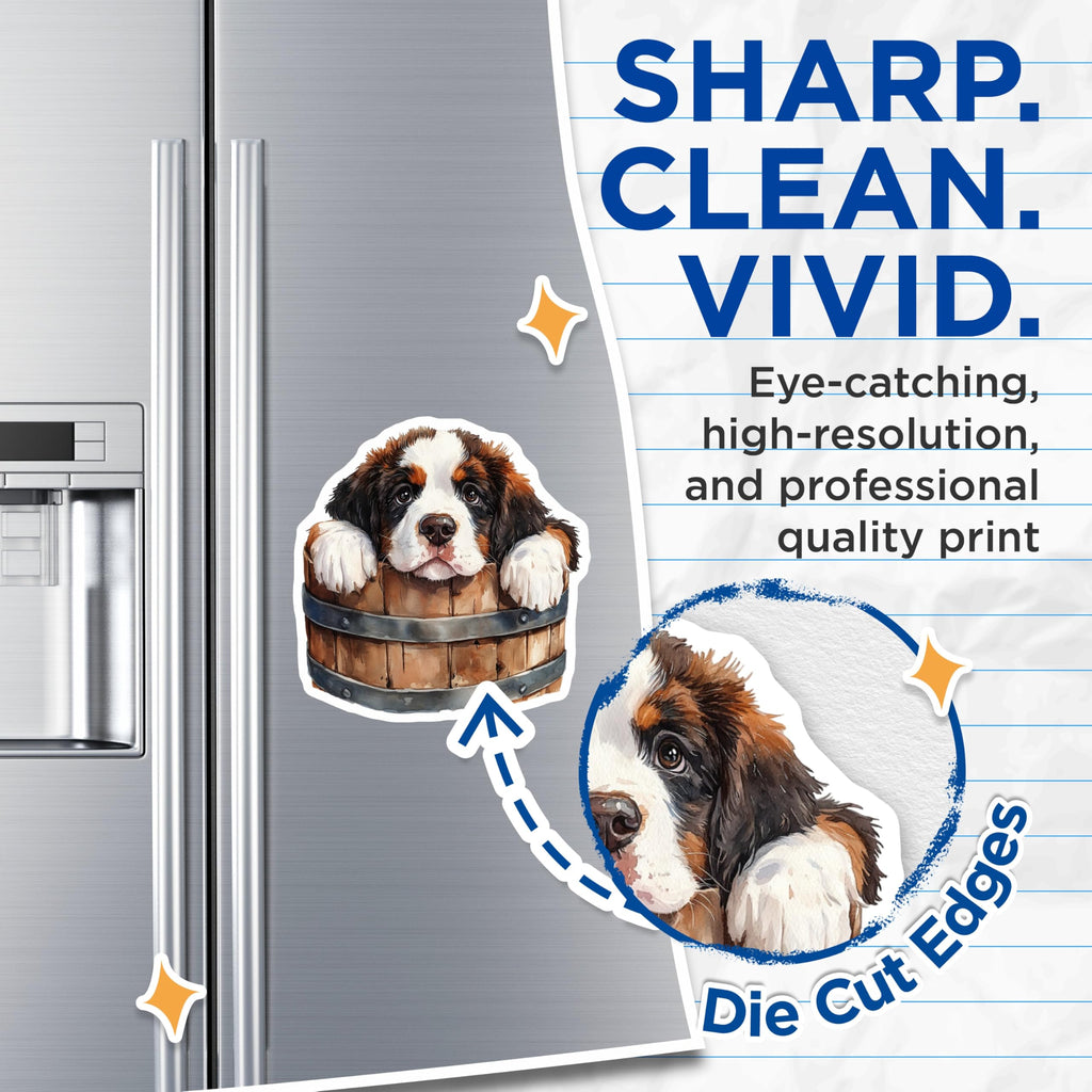 (2 Pack) Bernese Mountain Dog Magnets - Cute Dog Breed - Puppy in a Bucket - 5" On Longest Side - Premium Magnet - for Cars, Refrigerators, Toolboxes, Lockers - Made in USA - MAG14007