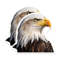 (2 Pack) Bald Eagle Magnets - American Wildlife Decor - Patriotic USA Symbolism - Nature Lover Accent - Freedom Bird Display - 5 Inches On Longest Side - Thick Durable Magnet - Made in USA - MAG39688