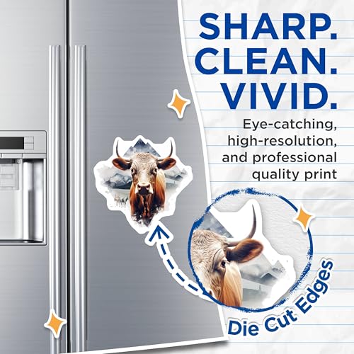(2 Pack) Cow Magnets - Rustic Farmhouse - Animal Theme Refrigerator Magnets - 5" On Longest Side - for Cars, Fridges, Toolboxes - Made in USA - MAG3802