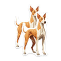 (2 Pack) Podenco Dog Magnets - Ibizan Hound Art - Sighthound Breed Decor - Pet Lover Refrigerator Magnet - 5 Inches On Longest Side - Thick Durable Magnet - Made in USA - MAG24254