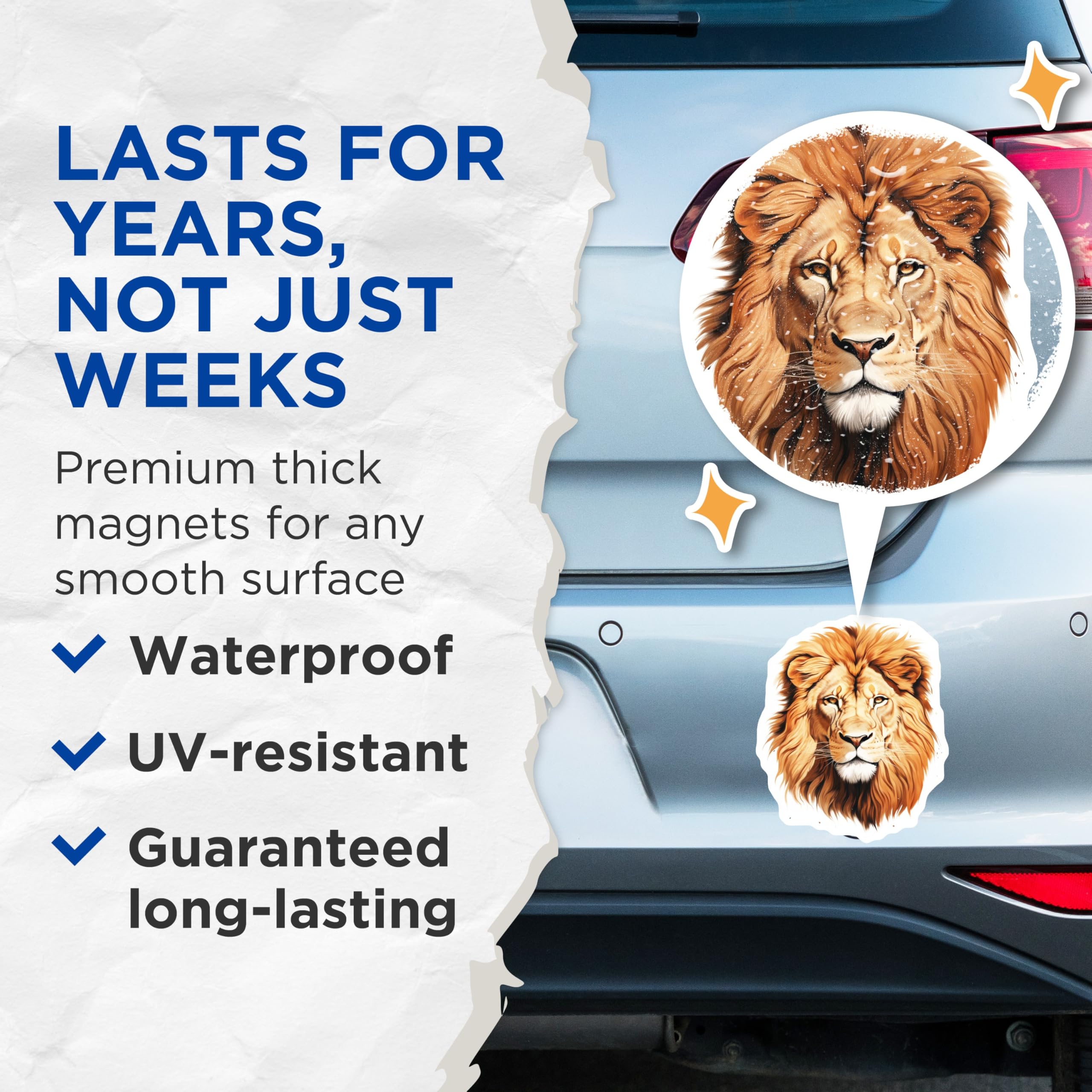 (2 Pack) Lion Head Magnets - Animal Lover Decor - Safari Jungle Theme Gift - 5" On Longest Side - Premium Magnet - for Cars, Refrigerators, Toolboxes, Lockers - Made in USA - MAG14314