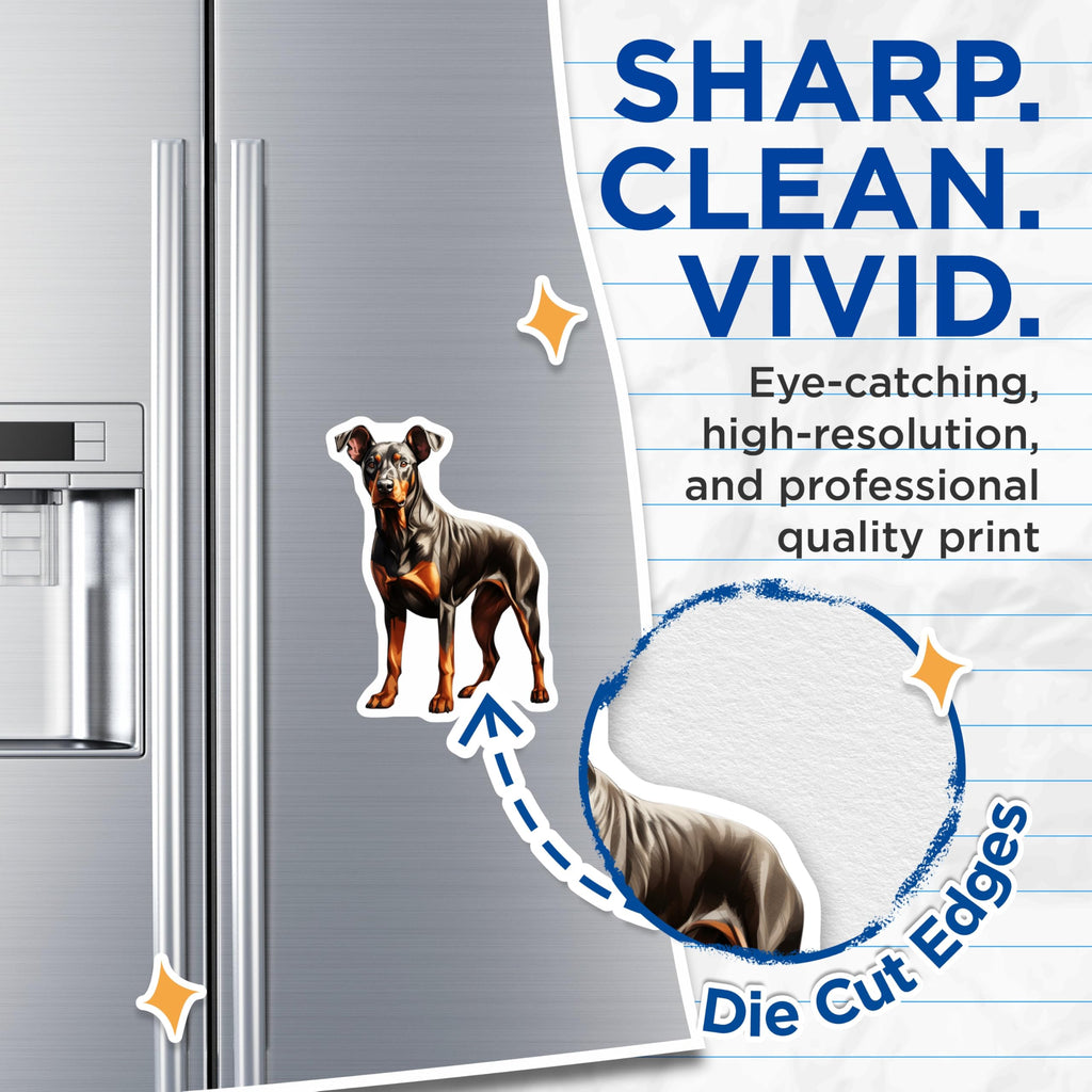 (2 Pack) Doberman Pinscher Magnets - Dog Lover Kitchen Decor - Pet Parent Refrigerator Magnets - 5 Inches On Longest Side - Thick Durable Magnet - Made in USA - MAG28448